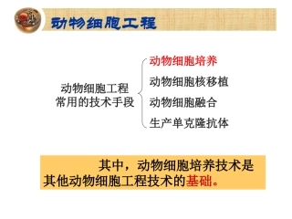 动物细胞培养和核移植技术-(2)