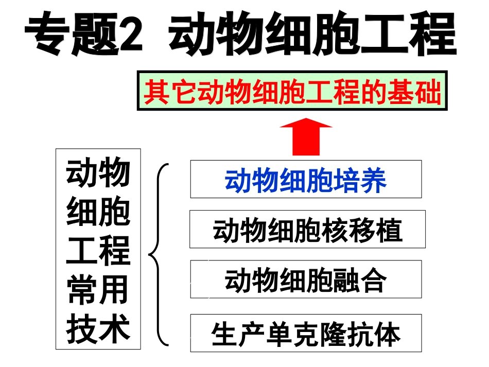 动物细胞培养_第1页