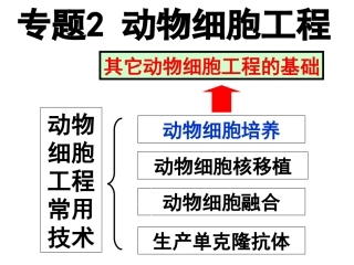 动物细胞培养