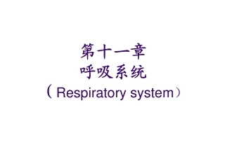 动物组织胚胎学---yyd呼吸系统