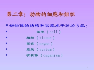 动物的细胞和组织