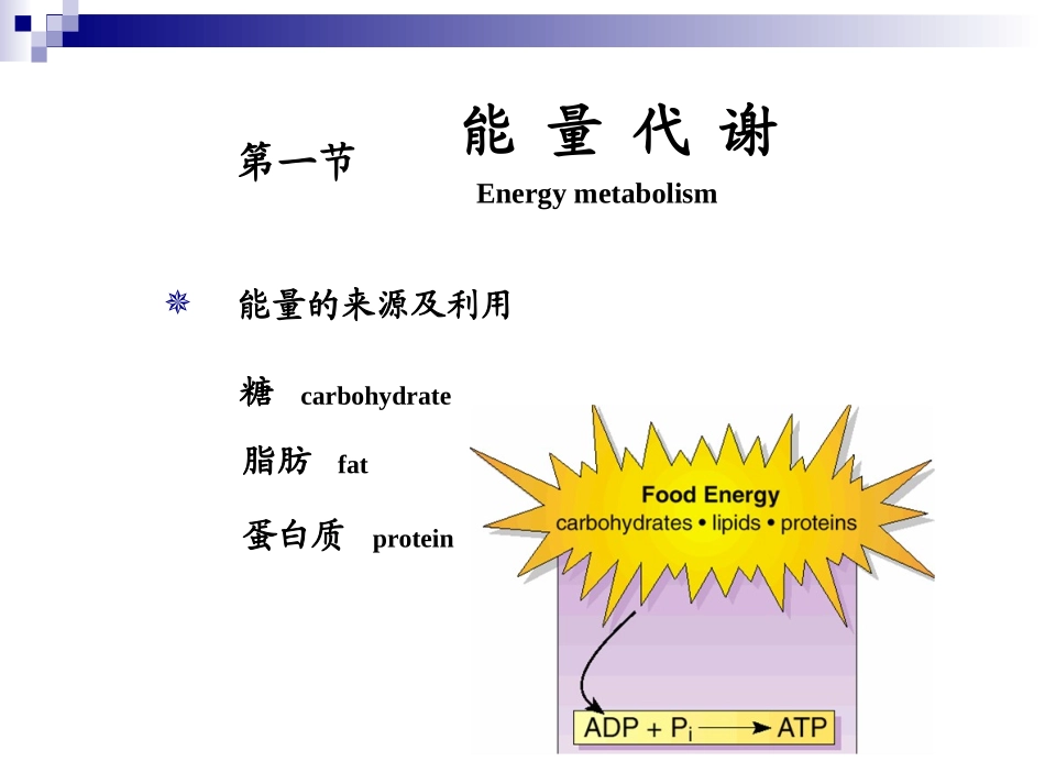 动物生理学 能量代谢与体温调节_第2页