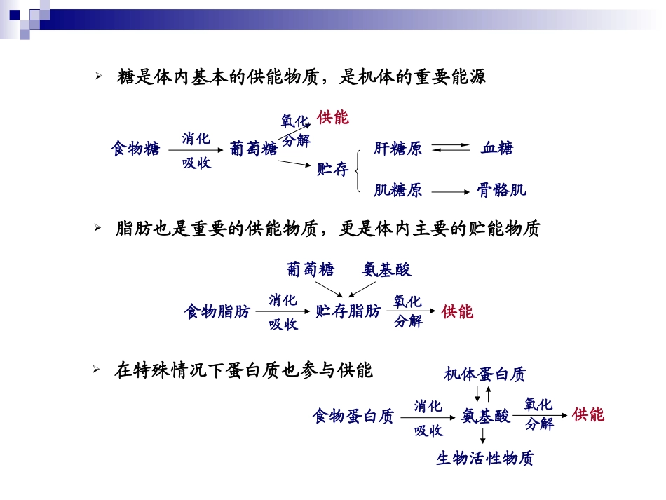 动物生理学 能量代谢与体温调节_第3页