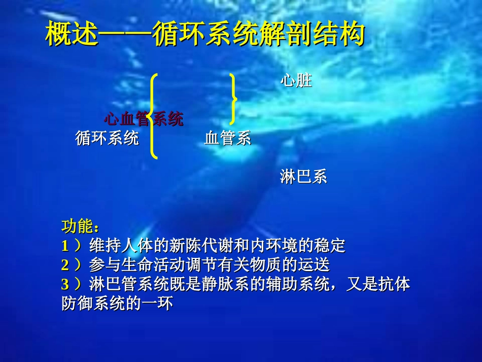 动物生理学-03第三章_第2页