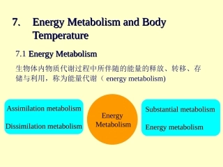 动物生理学7.能量代谢与体温