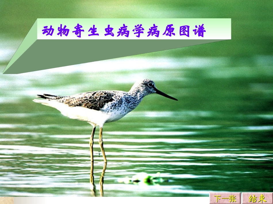 动物寄生虫病学病原图谱_第1页