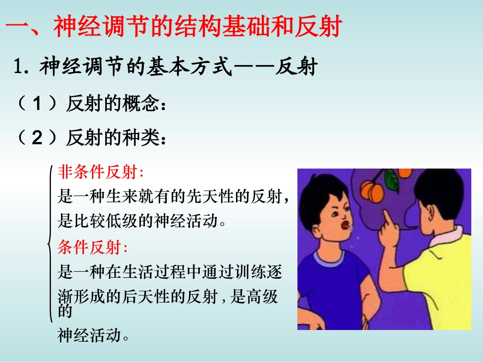 动物和人体生命活_第3页