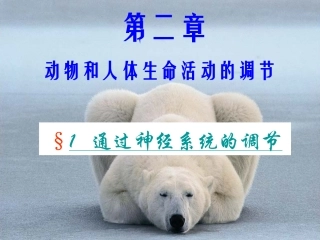 动物和人体生命活