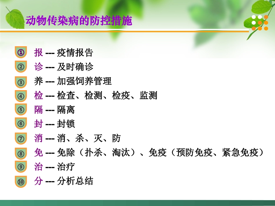 动物传染病防治策略浅谈_第2页