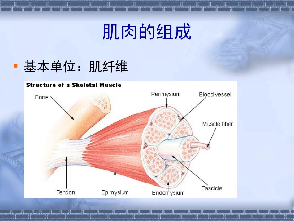 力量训练的原则和方法_第3页