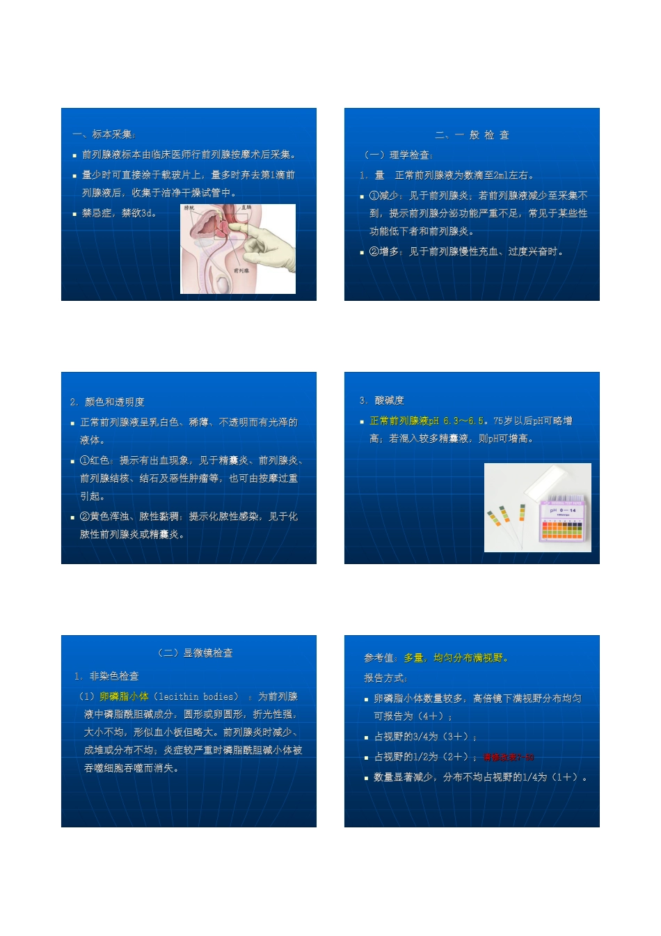 前列腺液检验课件_第2页