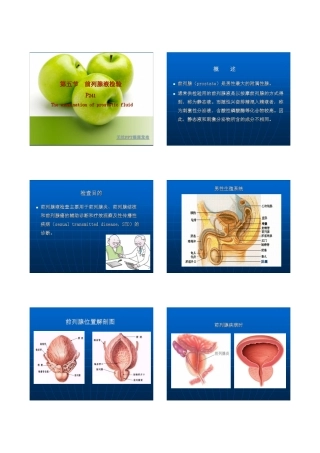 前列腺液检验课件