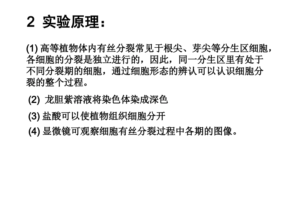 制作并观察植物细胞有丝分裂的临时装片_第3页