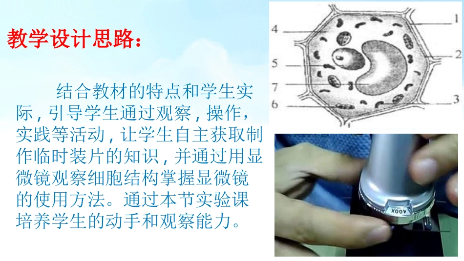 制作并观察植物细胞临时装片_第2页