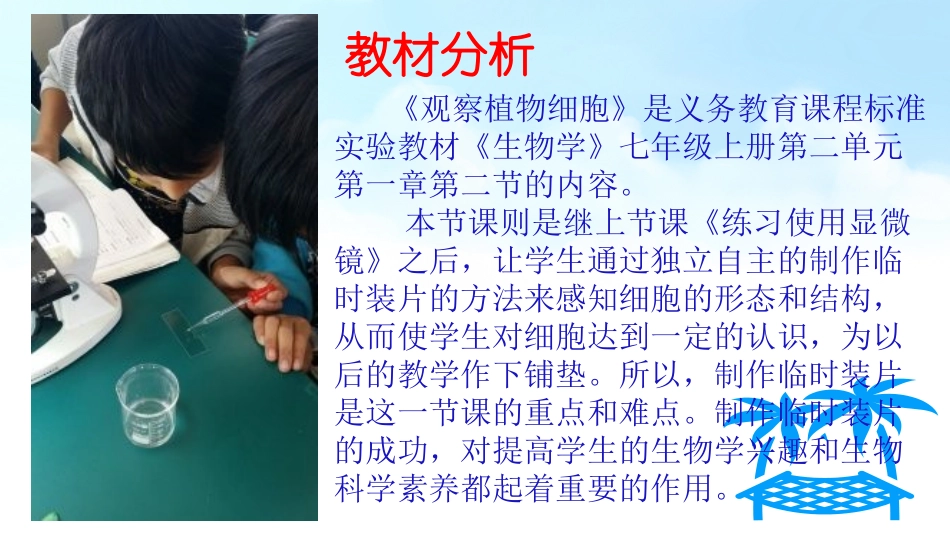 制作并观察植物细胞临时装片_第3页