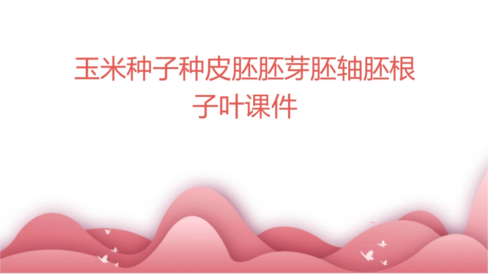 玉米种子种皮胚胚芽胚轴胚根子叶课件_第1页