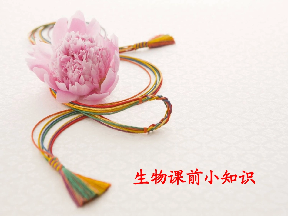 初中生物课前小知识_第1页