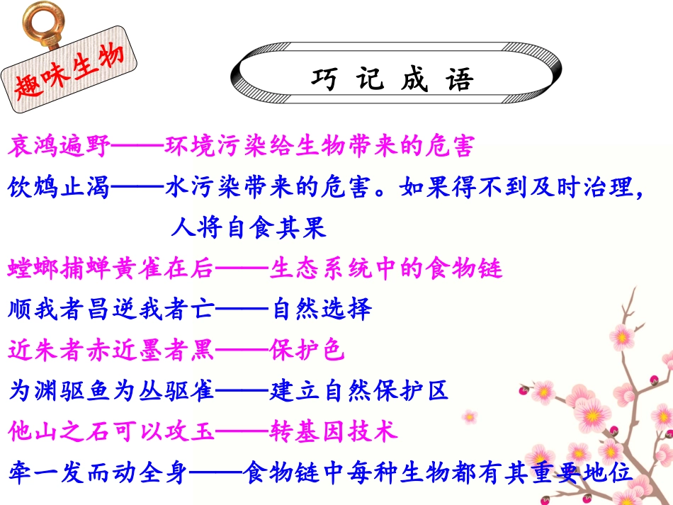 初中生物课前小知识_第3页