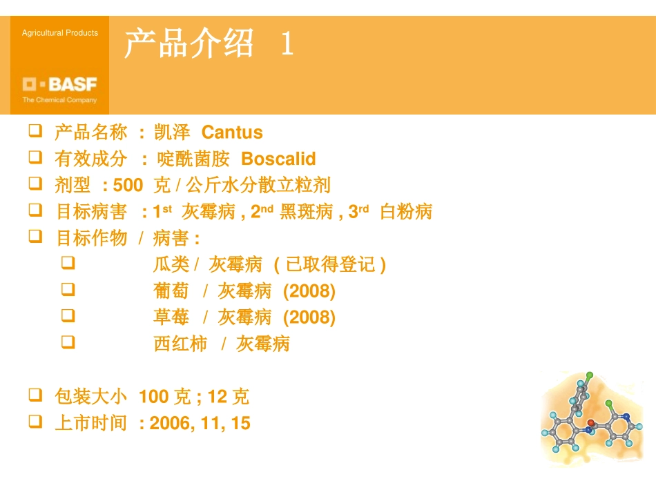 创新的凯泽2_第2页