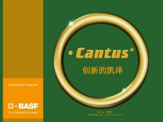 创新的凯泽2