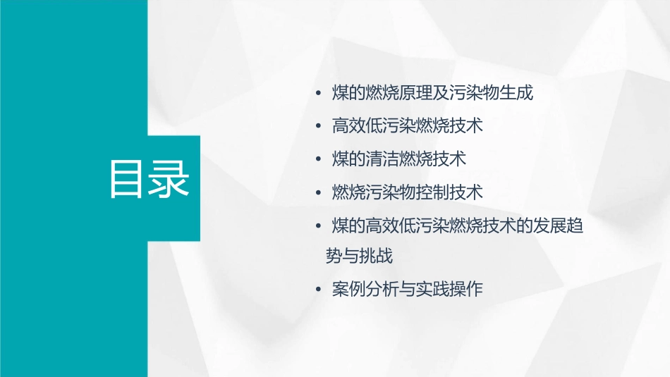 煤的高效低污染燃烧理论及技术课件_第2页