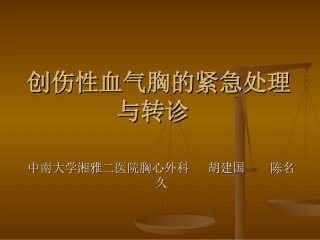 创伤性血气胸的紧急处理与转诊资料