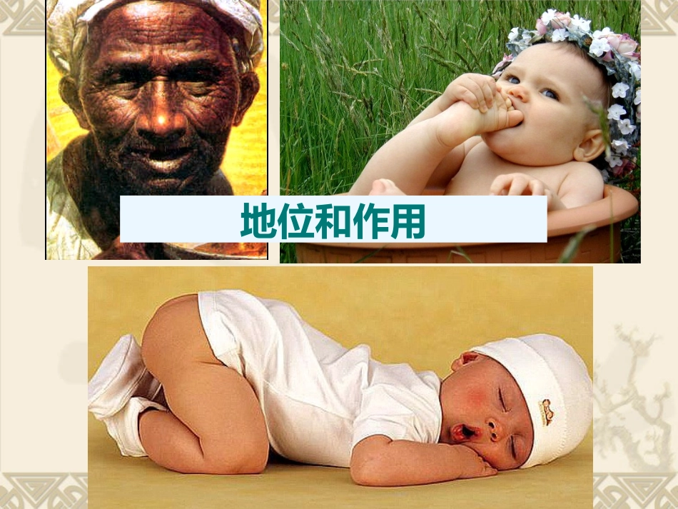 刘静 说课PPT_第3页
