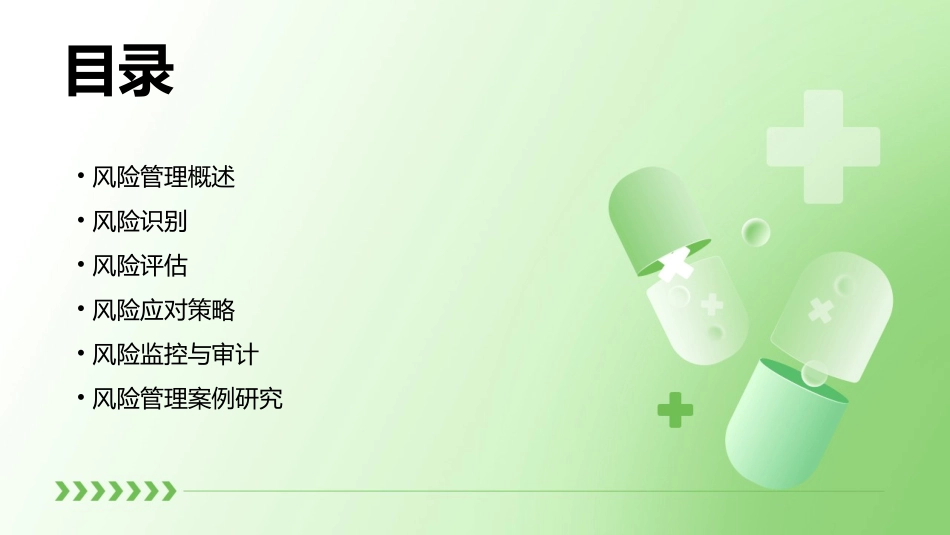 高级项目管理师风险管理课件_第2页