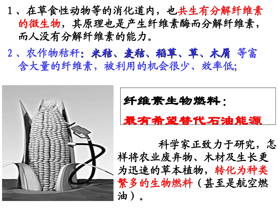 分解纤维素的微生物的分离LJ_第2页