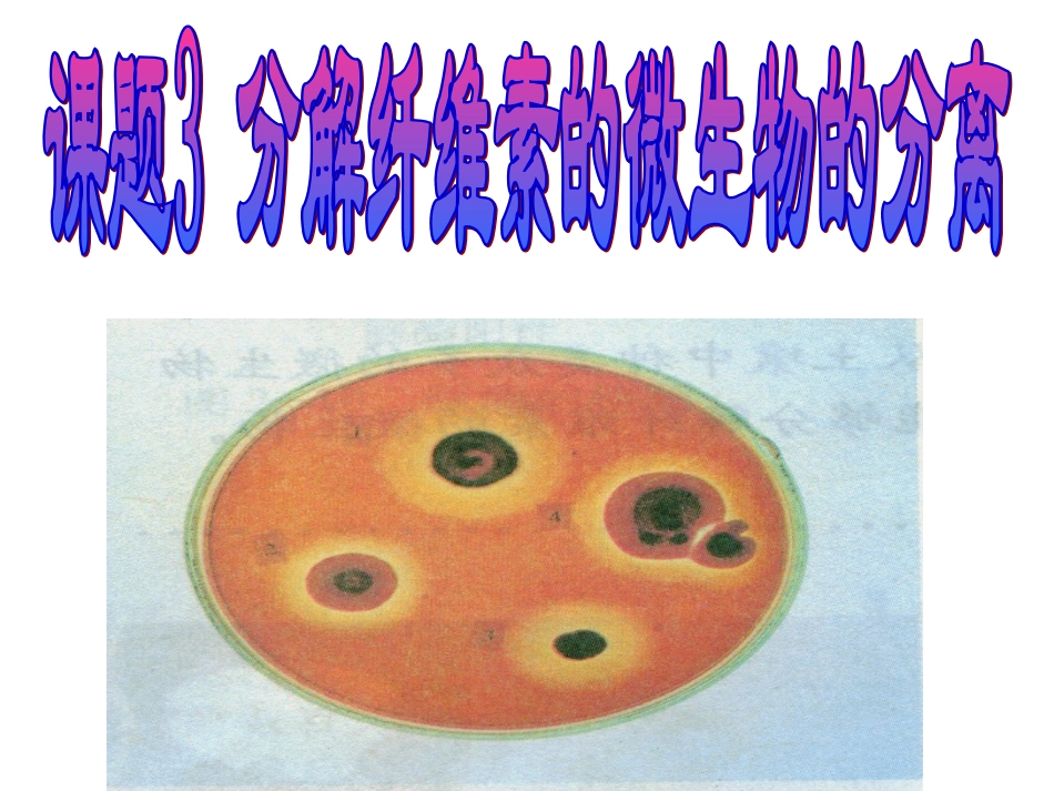 分解纤维素的微生物的分离LJ_第3页