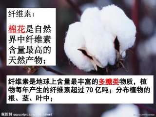 分解纤维素的微生物的分离LJ