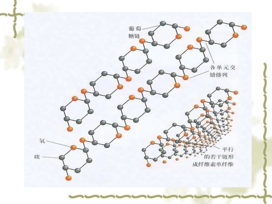分解纤维素的细菌的分离.._第3页
