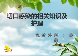 切口感染PPT