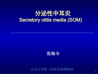 分泌性中耳炎SecretoyotitismediaSOM