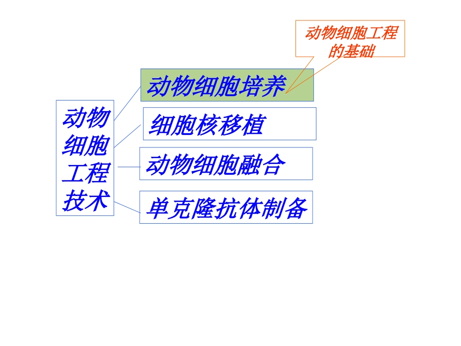 分瓶细胞株细胞细胞系动物细胞培养过程_第1页