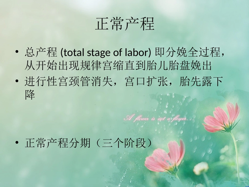 分娩疼痛的机制_第2页