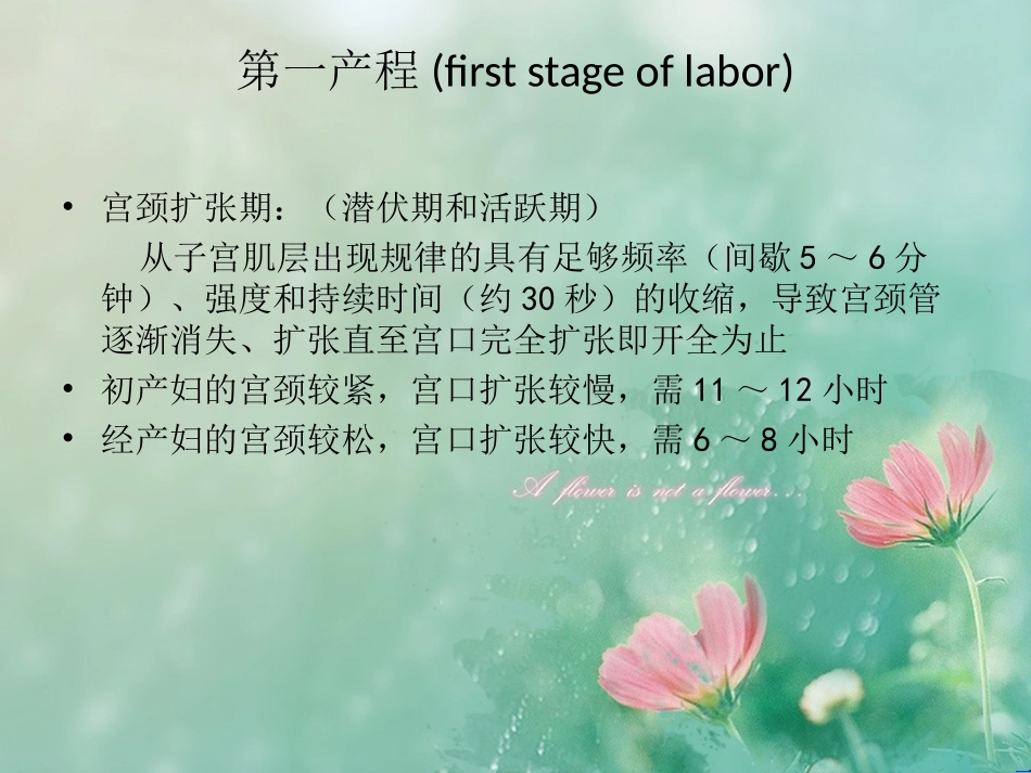 分娩疼痛的机制_第3页