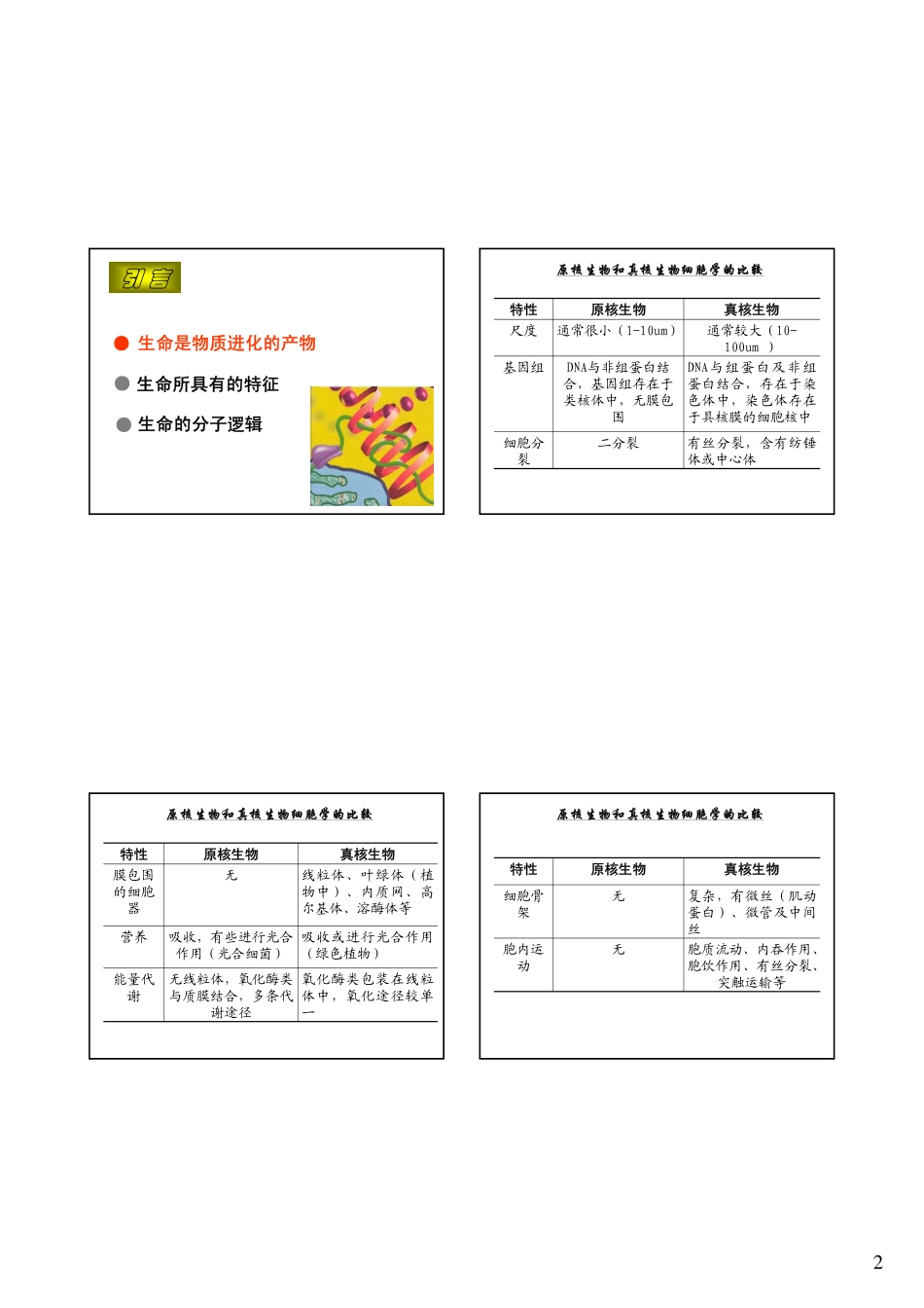 分子生物学核酸、基因、基因组_第2页