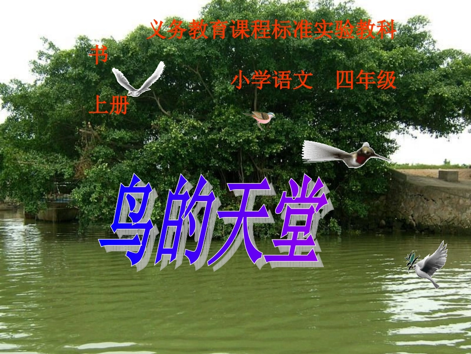 鸟的天堂PPT课件 (2)_第1页
