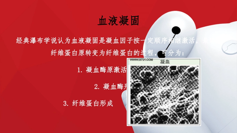 凝血类型与凝血途径_第2页