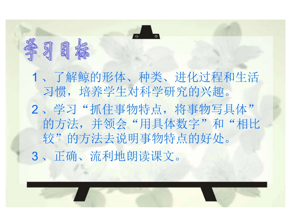 《9鲸》课件（人教版五年级上册）_第3页