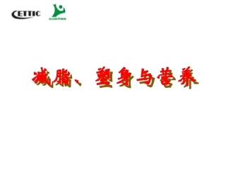 减脂塑身与营养模板