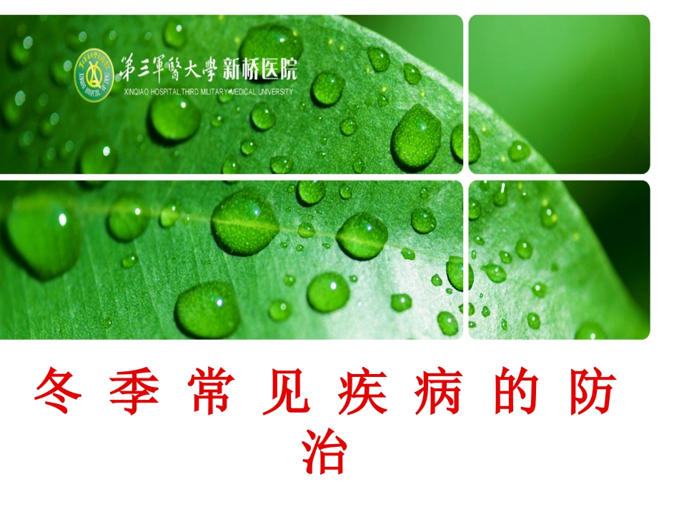 冬季常见病的防治_第1页