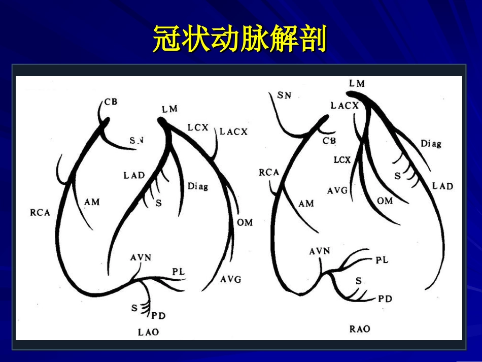 冠状动脉造影的正确判读_第3页