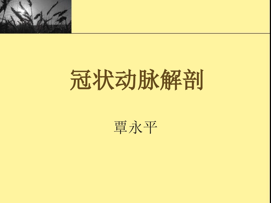 冠状动脉解剖_第1页