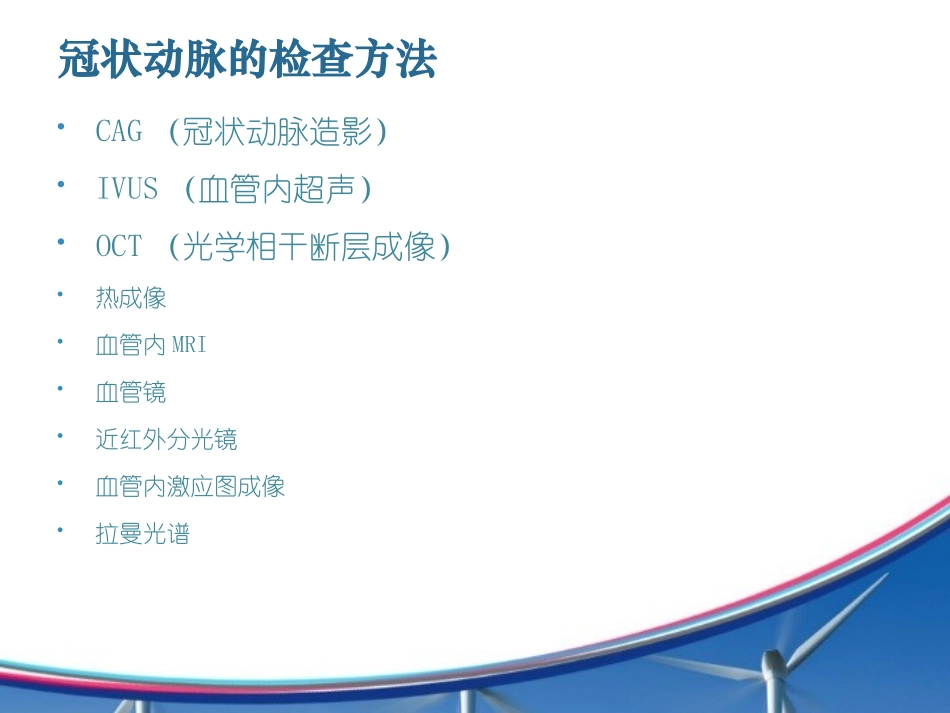 冠状动脉病变类型_第2页