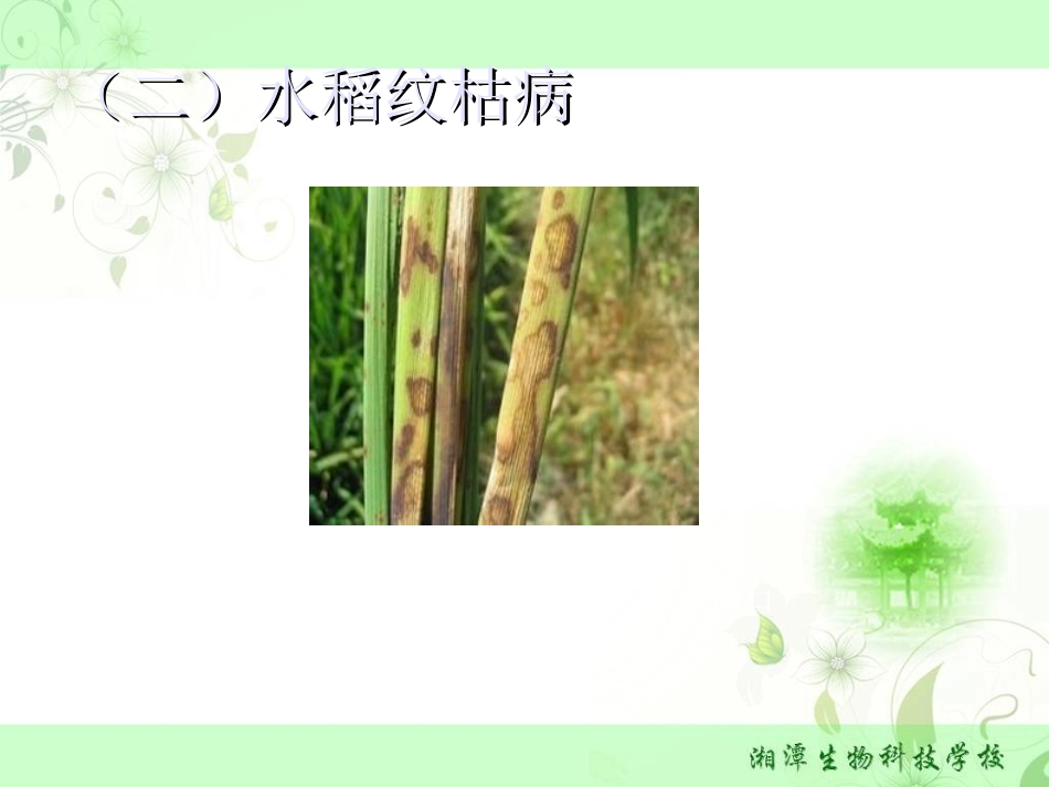 农艺-作物病虫草害绿色防控技术_第3页