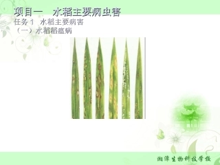 农艺-作物病虫草害绿色防控技术