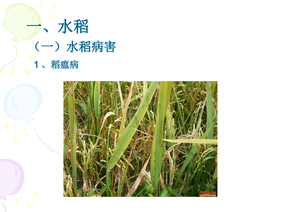 农作物病虫害图解_第2页