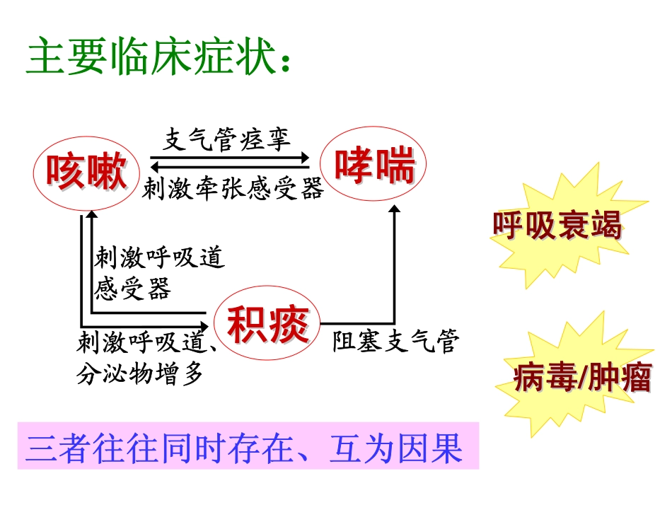 内脏系统药理-2(呼吸、消化)_第3页